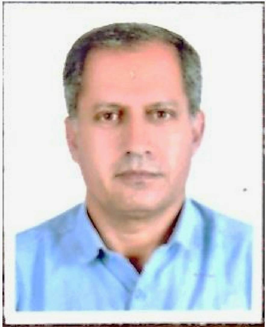 منصور ملکی